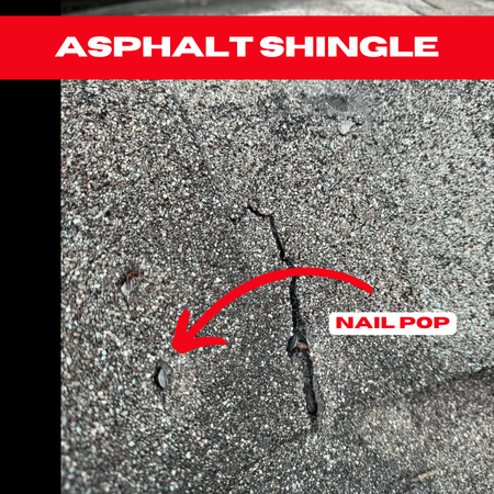 Close-up of an asphalt shingle roof in a Pearland home with a visible nail pop that can compromise the integrity of the shingles.