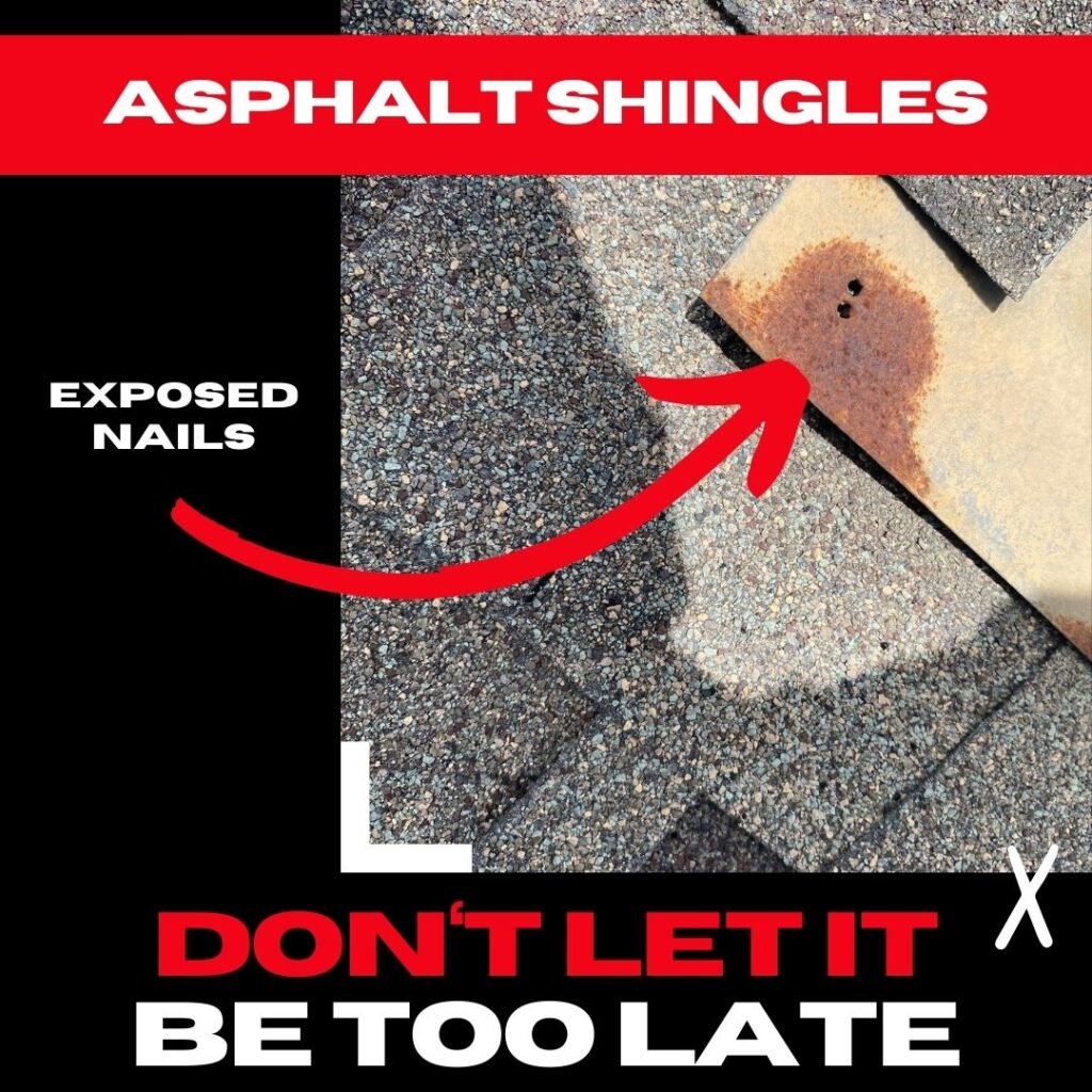 A detailed view of exposed nails on an asphalt shingle, which can lead to slow roof leaks and moisture damage in a Pecan Grove home.

