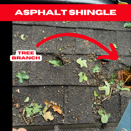 Close-up of a damaged asphalt shingle roof with leaves and debris, highlighting the need for Houston roof repairs. A large red arrow points to a tree branch causing damage. Text reads "ASPHALT SHINGLE" on top and "TREE BRANCH" near the arrow.
