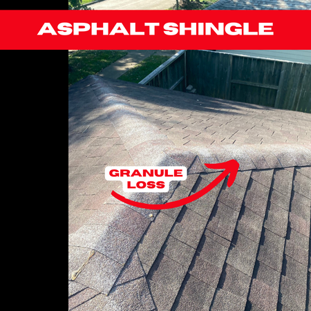 Rooftop with asphalt shingles showing an area labeled "granule loss" in red text, highlighted by a red arrow. A wooden fence and trees are visible in the background, typical of many Houston roof repairs. A bold red banner across the top reads "ASPHALT SHINGLE.