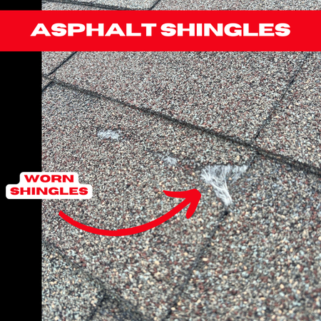 Close-up of asphalt shingles showing signs of wear, with a red arrow pointing to the damaged area. Text reads "Asphalt Shingles" at the top and "Worn Shingles" near the arrow, highlighting the need for Houston roof repairs.