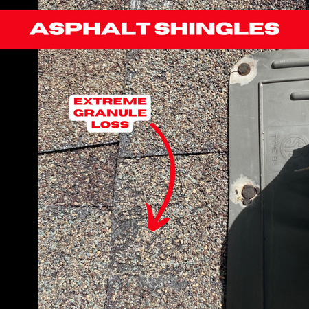 Close-up of asphalt shingles with a highlighted area labeled "Extreme Granule Loss," indicated by a red arrow. A gray plastic object is partially visible on the right side. The top banner reads "Asphalt Shingles" in white text on a red background, emphasizing the need for Houston roof repair expertise.