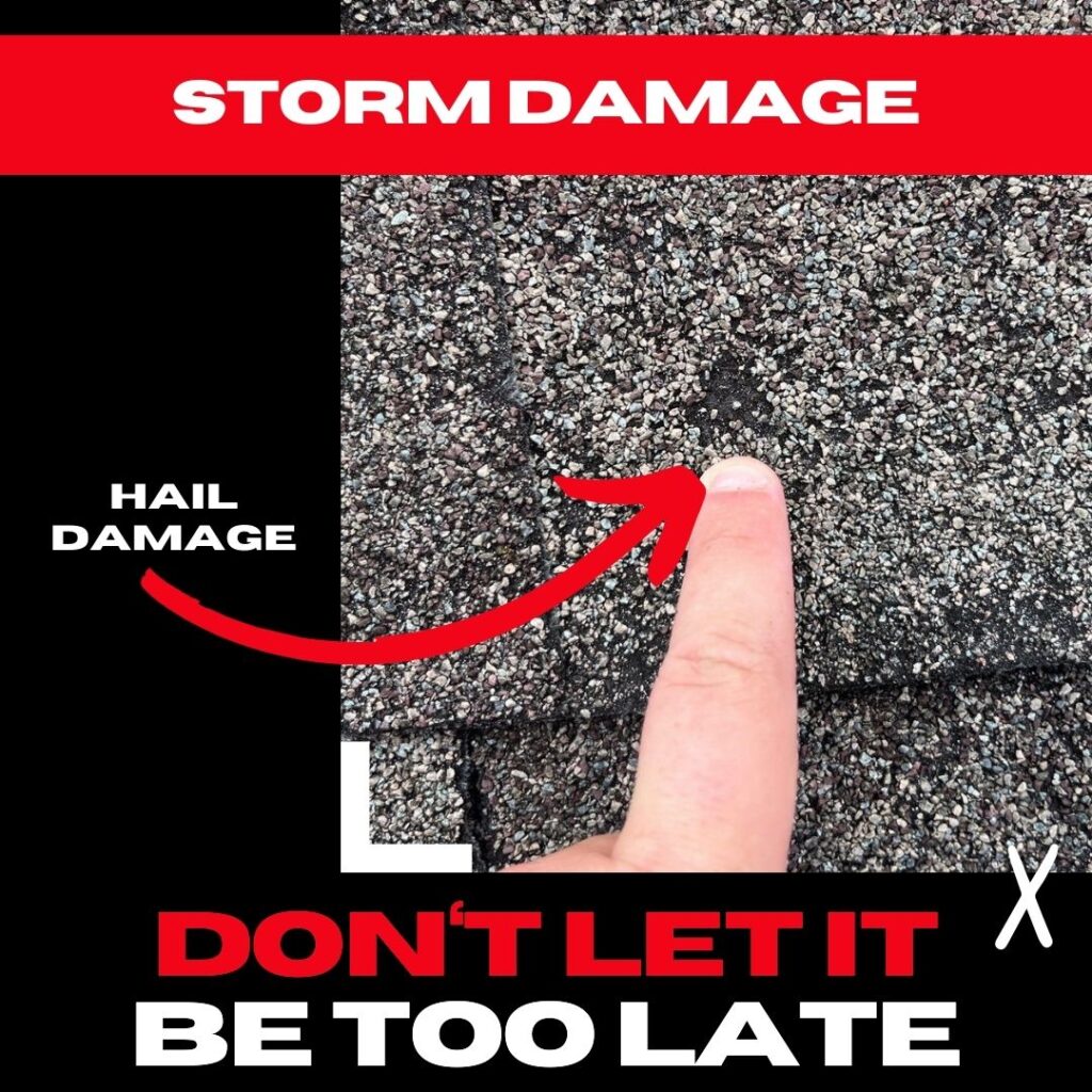 A close-up of an asphalt shingle roof in Piney Point Village with a visible hail impact point, showing granule loss and surface damage.

