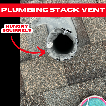  Damaged plumbing stack vent on a Bellaire roof, chewed around the edges by squirrels, needing urgent repair.