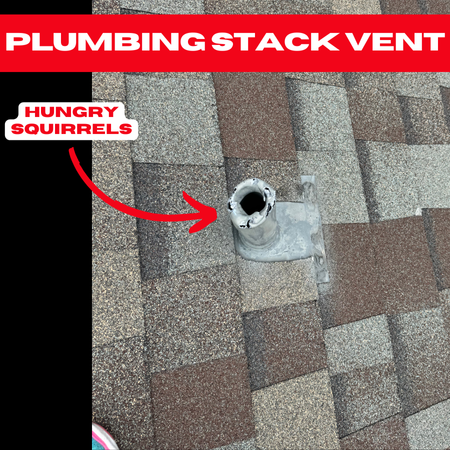 A damaged plumbing stack vent on a shingled roof, with the top partially chewed, suggests critter roof damage in Bellaire. An arrow points to the vent with text "Hungry Squirrels," against a backdrop of brown shingles.
