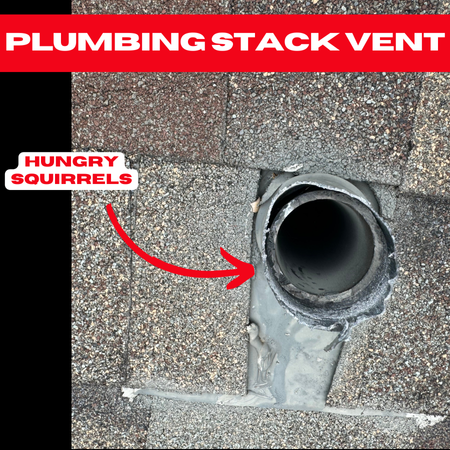 A close-up of a chewed plumbing stack vent with missing seals on a Spring, Texas roof, showing damage from wildlife intrusion.