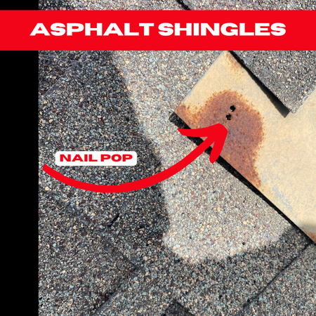 Nail pop on a Houston asphalt shingle roof leading to potential water intrusion and roof degradation.


