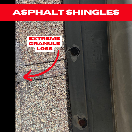 Image showing asphalt shingles with a red label at the top. A section, marked "EXTREME GRANULE LOSS," highlights visible wear on the shingles. Kingwood roofing experts can assess and address such damage, ensuring lasting protection for your home.