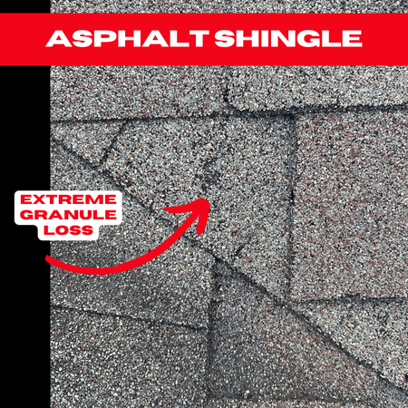 Close-up of Kingwood roofing asphalt shingles showing noticeable granule loss. A red arrow points to the worn area, with text reading "EXTREME GRANULE LOSS" above it. A red banner at the top says "ASPHALT SHINGLE.