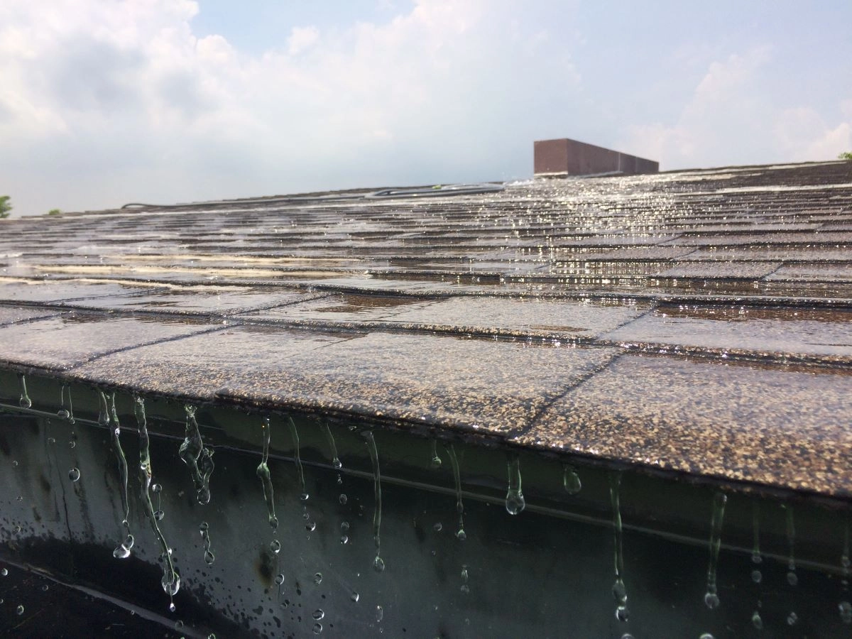 Close-up of a rain-soaked Brays Oaks roof replacement with shingles, showing water droplets dripping off the edge into a gutter. The sky is cloudy in the background, suggesting a recent or ongoing rain shower.