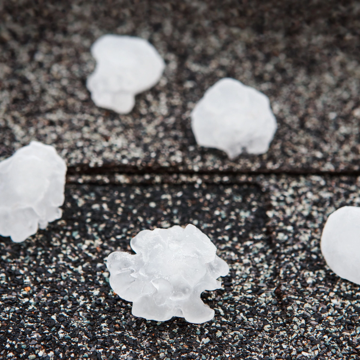 Large pieces of hail are scattered on a rough, textured surface. The ice stones vary in size and have irregular shapes, indicative of typical roof damage caused by cypress hail. The background of the image is a speckled, grey stone or asphalt.