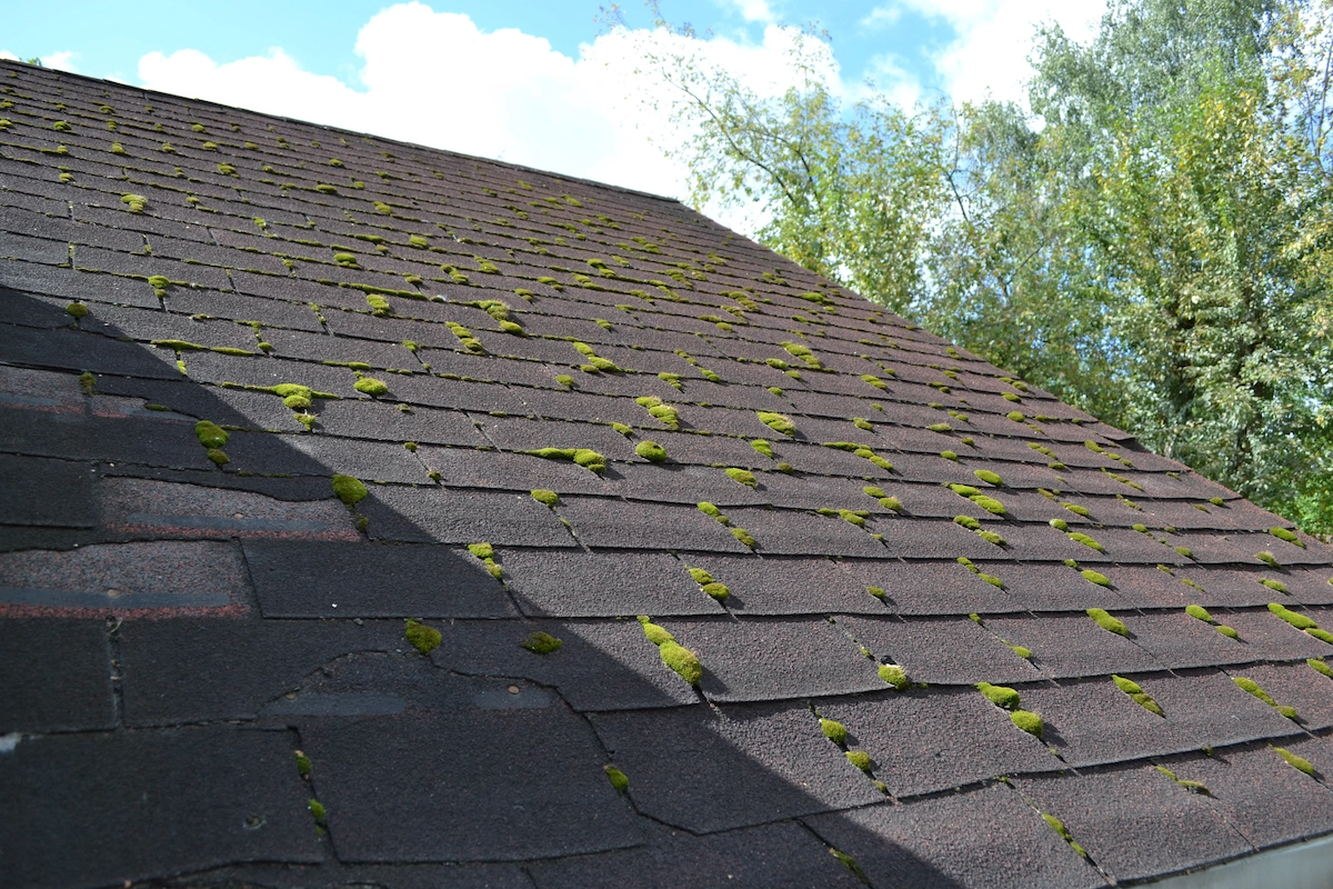 A sloped roof with dark shingles has patches of moss growing on it, typical of Houston roofing. The sky is partly cloudy, and there are trees in the background. The roof shows varying degrees of sunlight, indicating it is daytime.