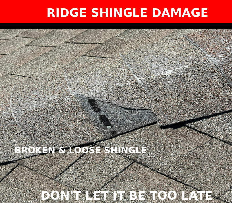Close-up of a damaged roof with loose and broken ridge shingles. Text reads "RIDGE SHINGLE DAMAGE" and "DON'T LET IT BE TOO LATE.