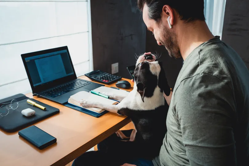 man on computer with dog on lap looking at him filing an insurance claim