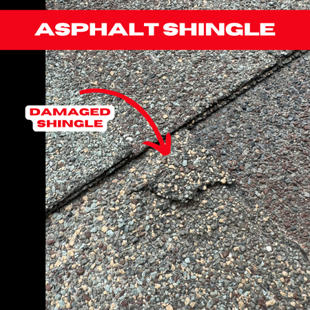 Close-up of a textured asphalt shingle roof with a damaged shingle section. A red arrow labeled "Damaged Shingle" points to an area where the shingle is visibly raised. The top of the image has a red banner with "Asphalt Shingle" written in white text.