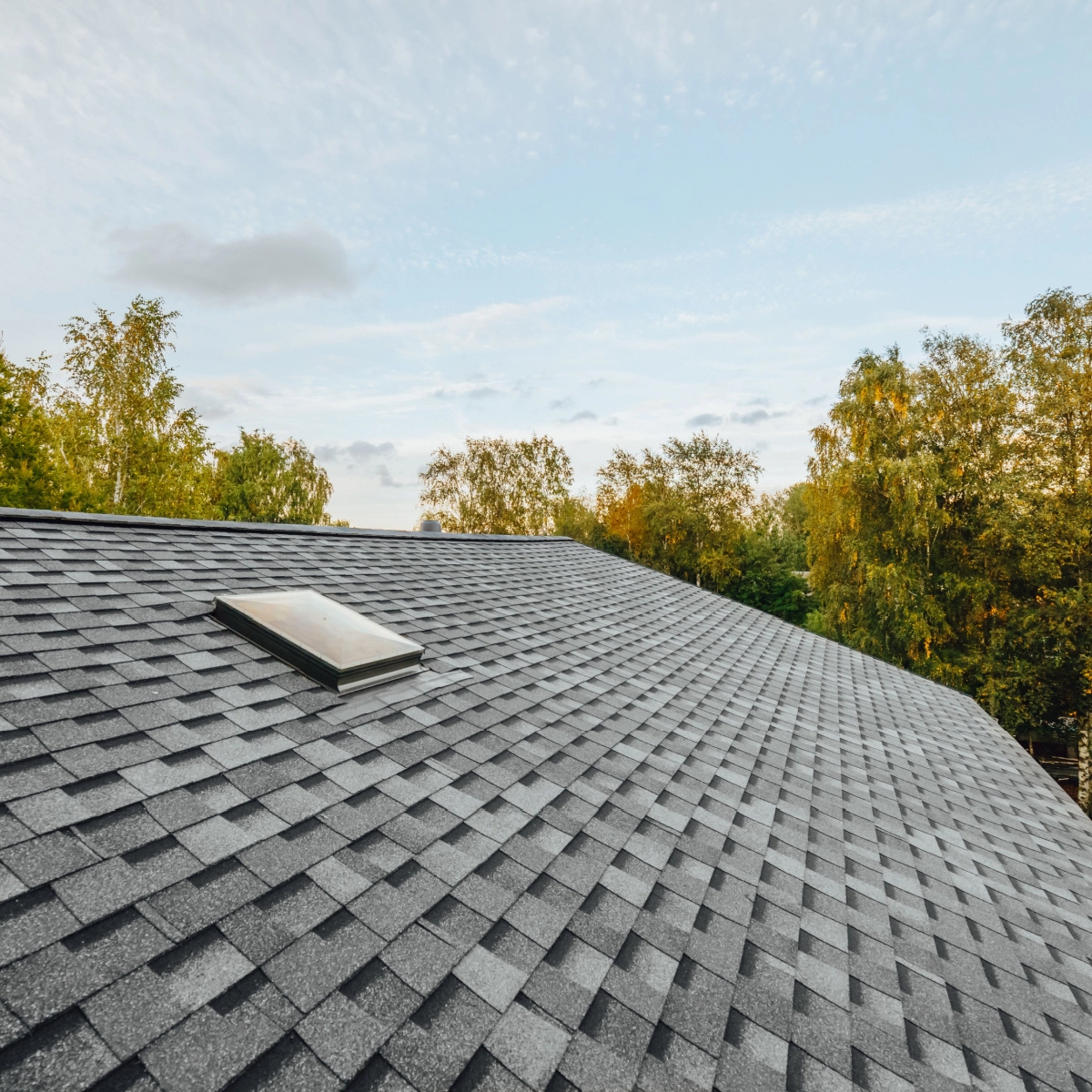 A Hedwig Village roof replacement shines with gray asphalt shingles and a rectangular skylight in the top left. Tall, green trees surround the scene under a clear blue sky with scattered light clouds.