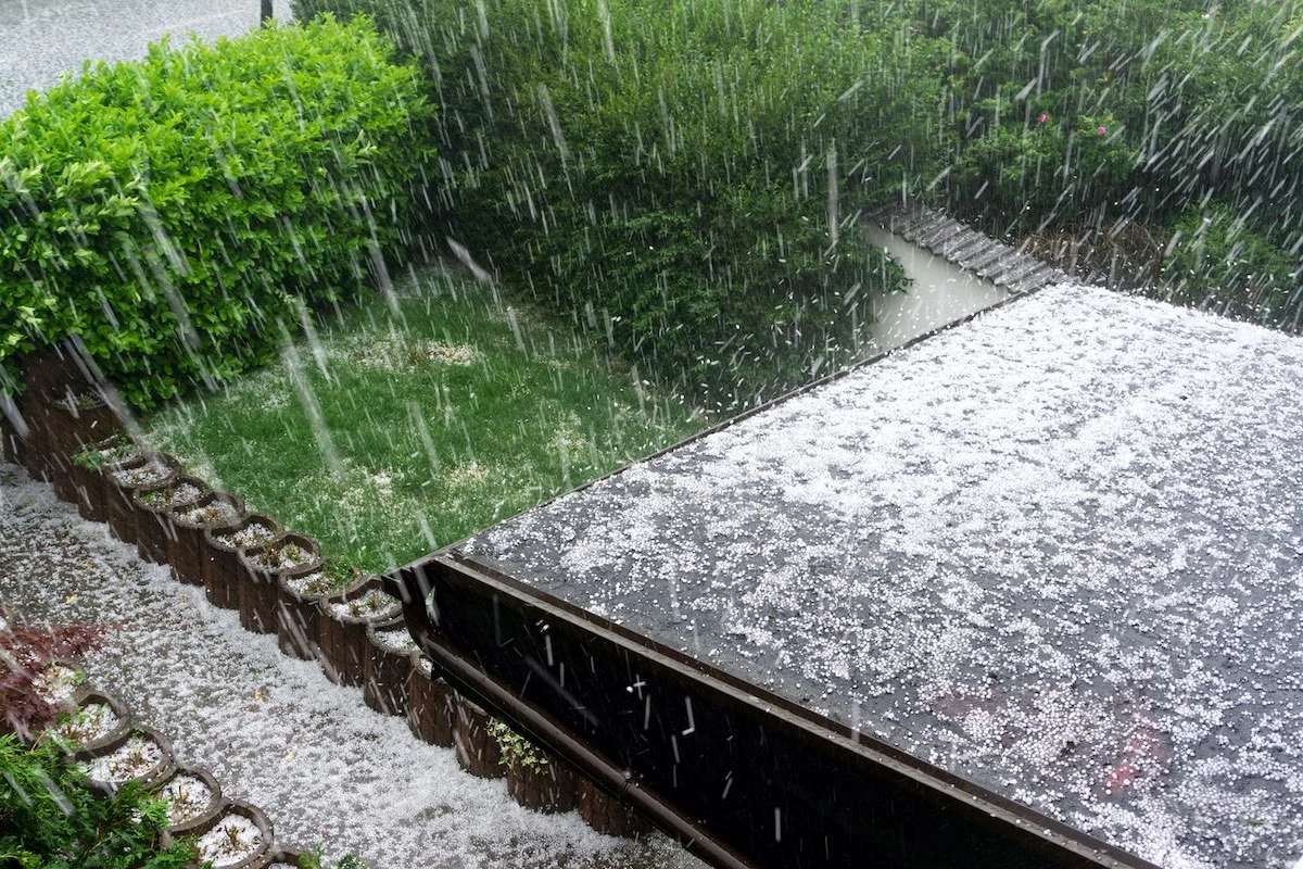 A view of a garden with heavy hail falling. Hailstones accumulate on the grass, a hedge, and a dark-colored awning. The scene depicts the intense downfall with many white hailstones covering various surfaces, highlighting the kind of weather where Houston roof experts are invaluable.