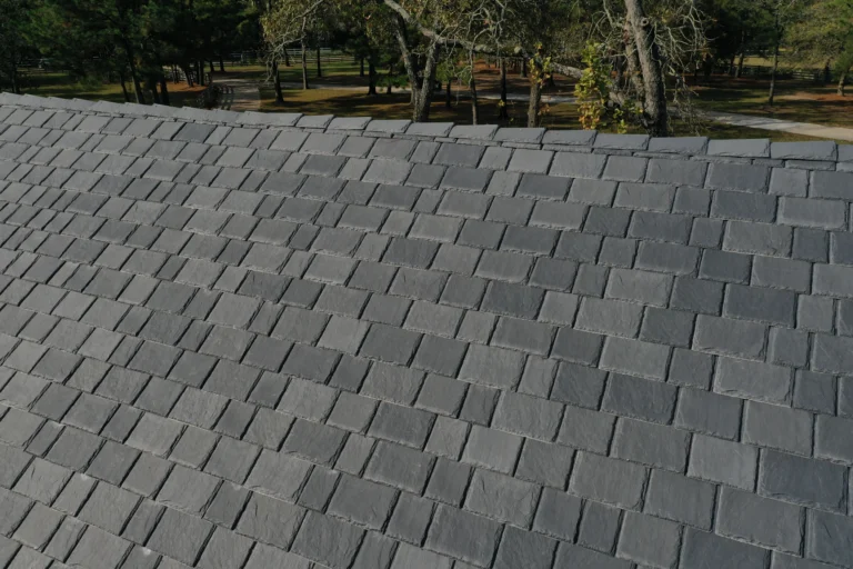 A close-up view of a gray slate roof, highlighting the neatly arranged tiles. In the background, trees with green and yellow leaves are visible, along with a park-like area featuring grass and pathways. The overall scene is bright and clear.