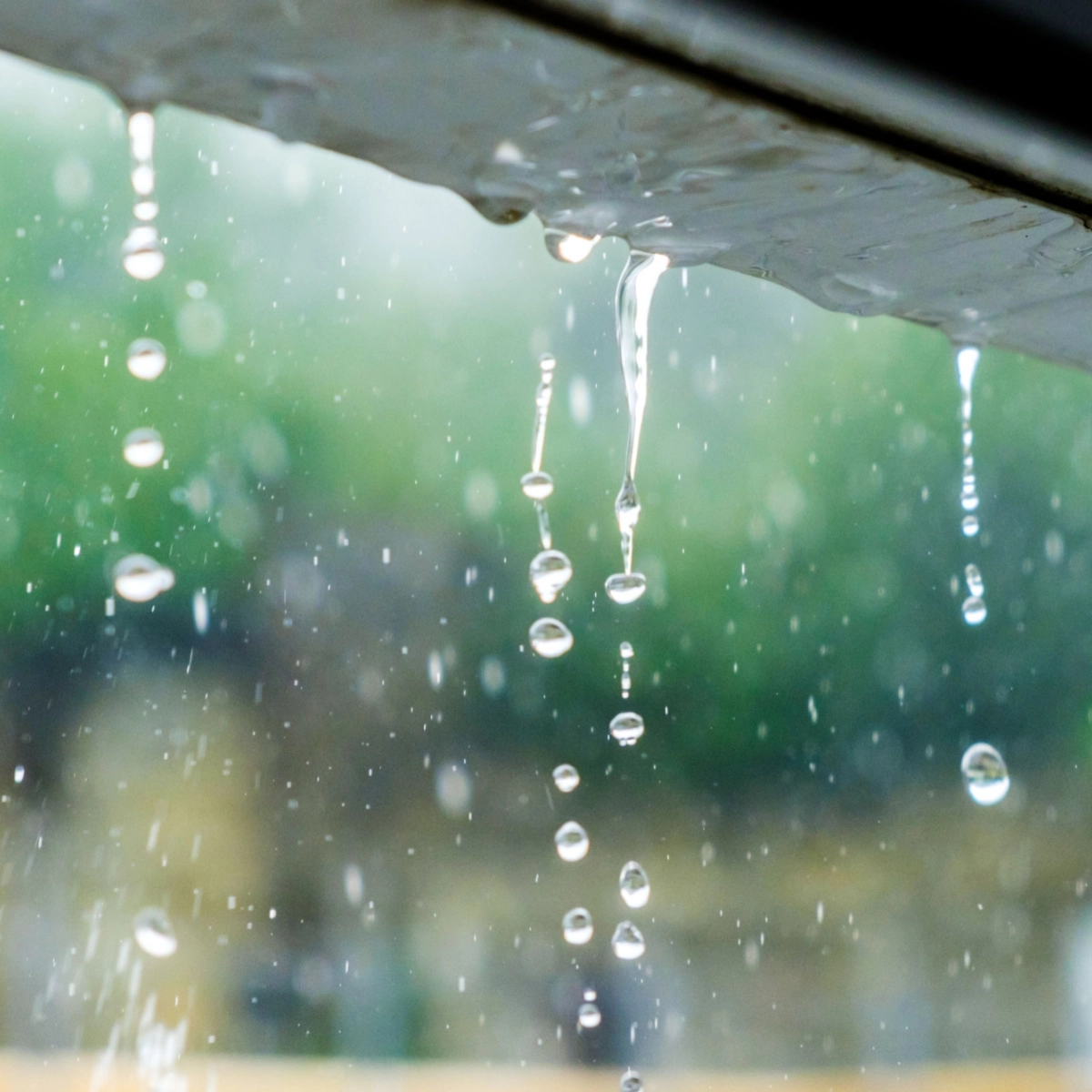 Close-up of raindrops falling from the edge of a roof. The drops create a series of individual water droplets and streams against a blurred green and brown background. The image captures the motion and transparency of the rain.