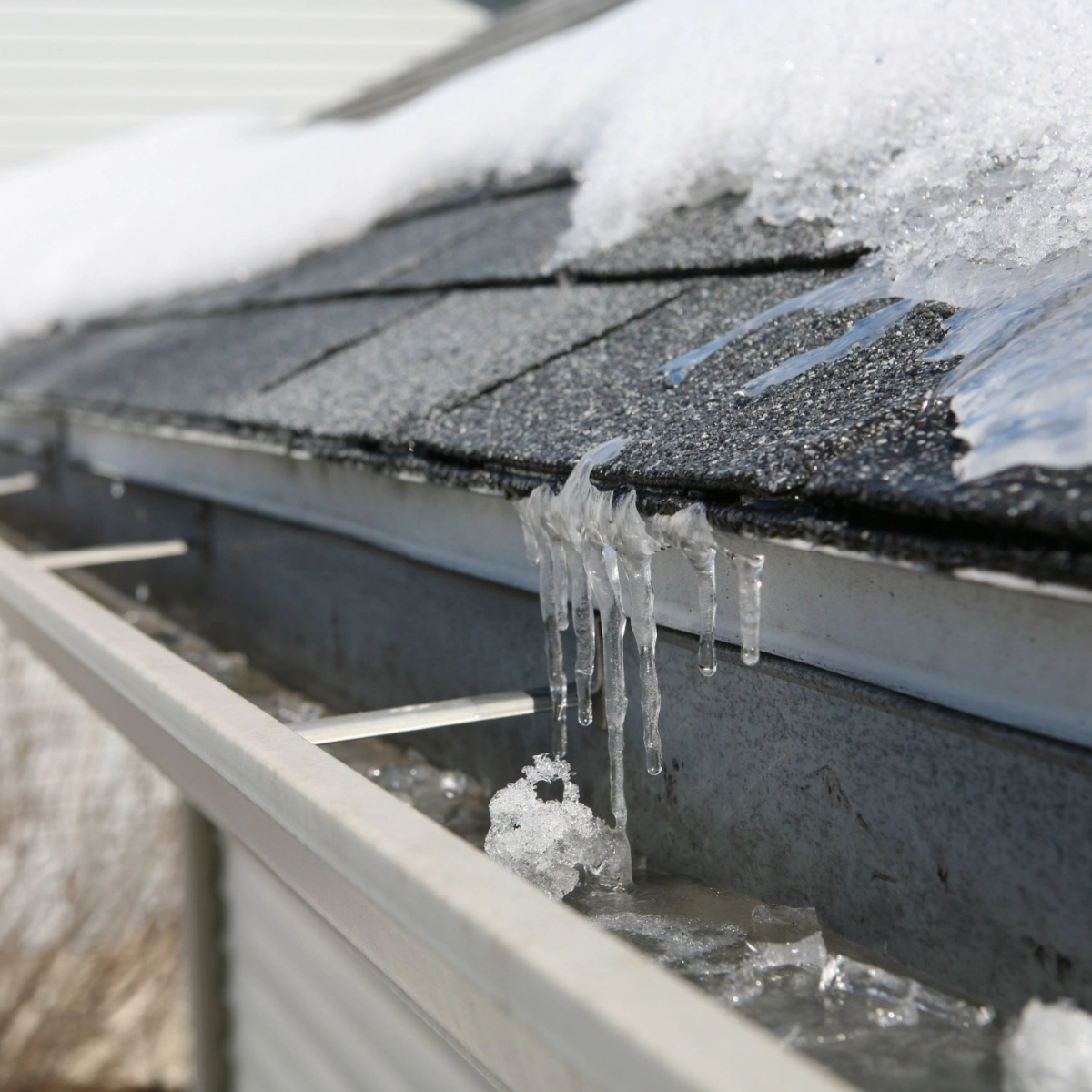 A close-up view of a house gutter with icicles and a buildup of ice and snow on the roof. The shingles are partially covered in melting snow, contributing to the icicles hanging from the edge of the gutter. This scene of winter beauty also hints at potential The Woodlands roof damage due to ice accumulation.