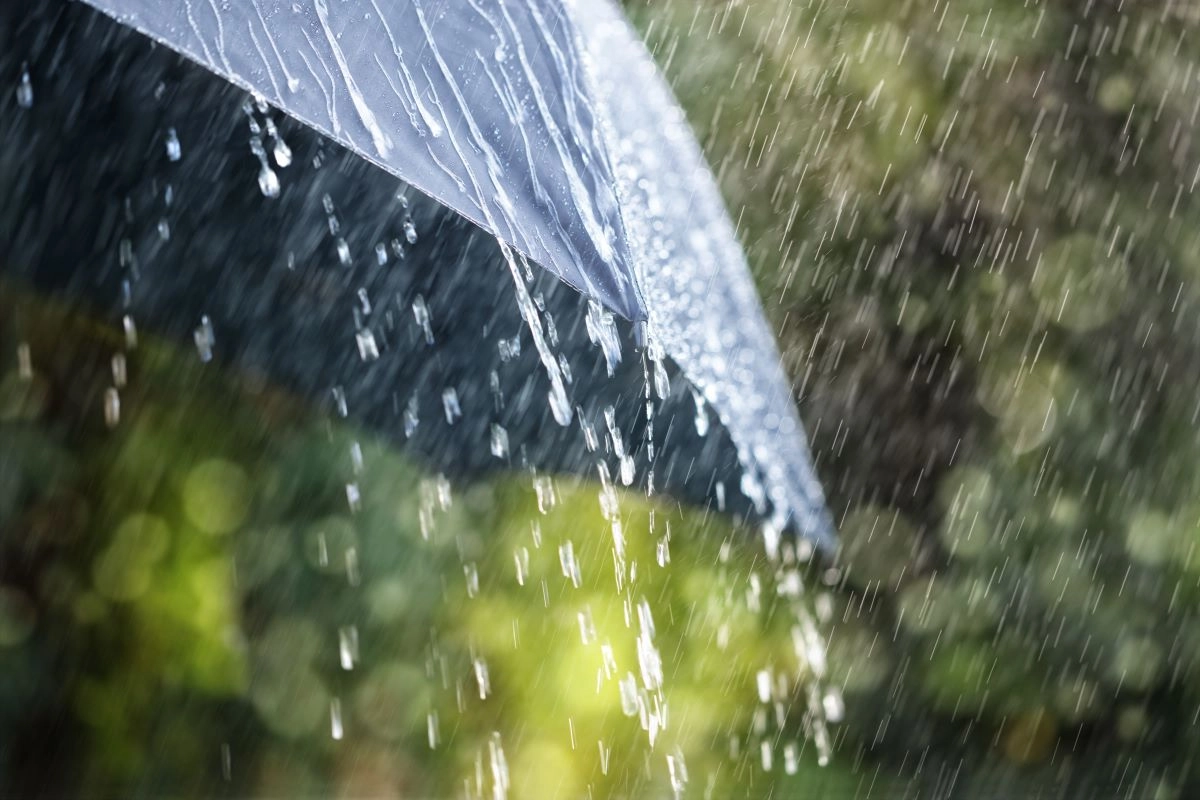 Close-up of a black umbrella in heavy rain. Water cascades off the edges, while the background is a blur of green and yellow hues, suggesting foliage. The rainfall and the umbrella's outline create a dynamic, atmospheric scene reminiscent of how katy roofing withstands intense weather conditions.