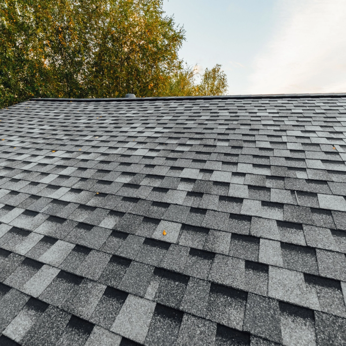 upclose view of laminate shingles