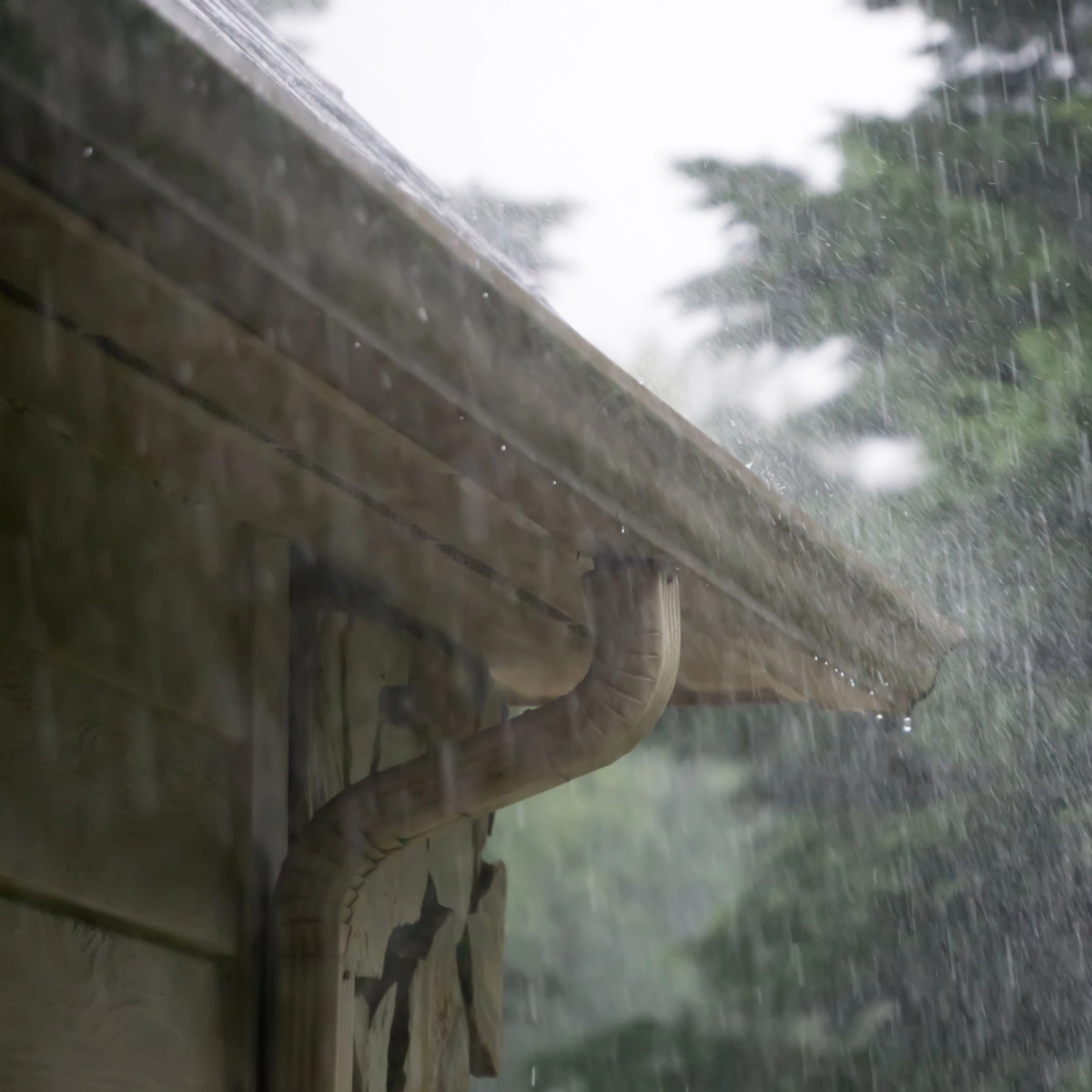 Close-up of a rain gutter attached to a roof during heavy rainfall, expertly installed by Friendswood roofing. Water is seen pouring over the sides and dripping from the edges of the gutter. The background is blurred, showing rain and some greenery.