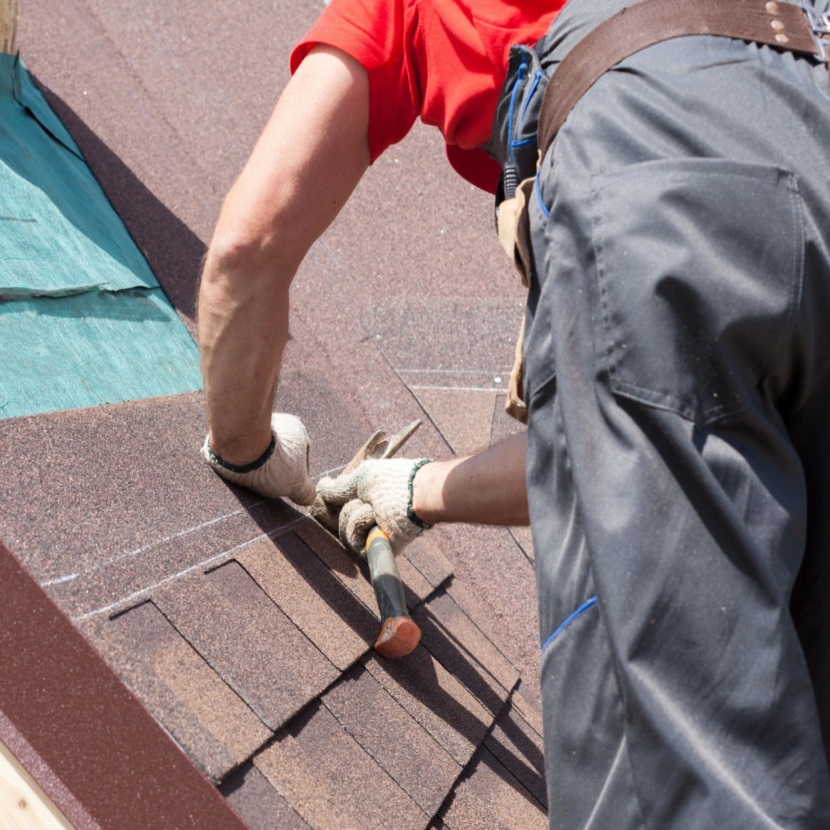 A person wearing work gloves and a red shirt uses a hammer to position shingles on a roof, possibly addressing Katy roof damage. The individual is kneeling on the roof, covered with brown roofing materials, and appears to be carefully aligning the shingles. A green tarp is partially visible.