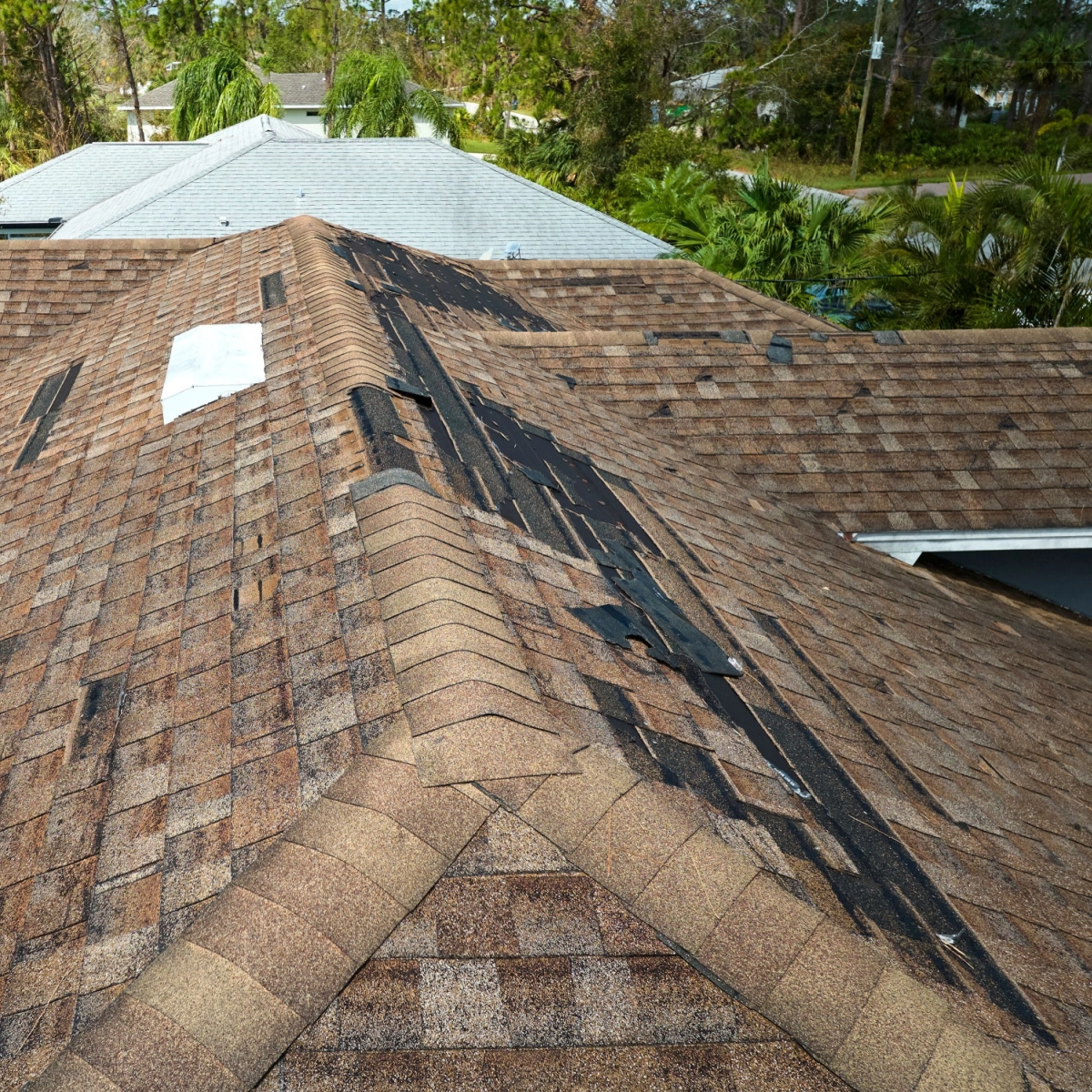 A rooftop with brown shingles showing significant damage and missing shingles, particularly along the peak. Black underlayment is exposed in several areas, and one section is covered with a white patch. Surrounding trees and neighboring roofs are visible, highlighting the need for expert Kingwood roofing services.
