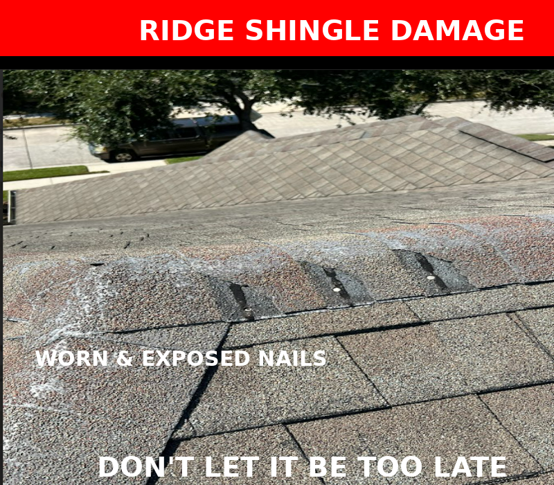 Close-up of a roof with damaged ridge shingles. Worn and exposed nails are visible. A red banner at the top says "RIDGE SHINGLE DAMAGE," and white text on the shingles reads "WORN & EXPOSED NAILS" and "DON'T LET IT BE TOO LATE.