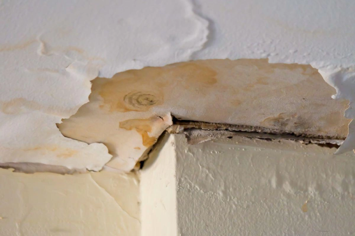 A close-up of a damaged ceiling corner shows severe water damage. The paint and plaster are peeling and cracked, revealing underlying layers and discoloration from water stains. The damage is concentrated and appears to be the result of a persistent leak, necessitating Brookshire Roof Repairs.