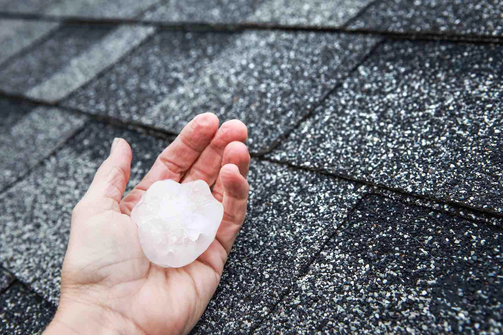 A hand holding a large piece of hail against the backdrop of a dark asphalt shingle roof in Houston. The hail is clear with a slightly rough texture, and the shingles show signs of damage, revealing a mix of dark and light granules.
