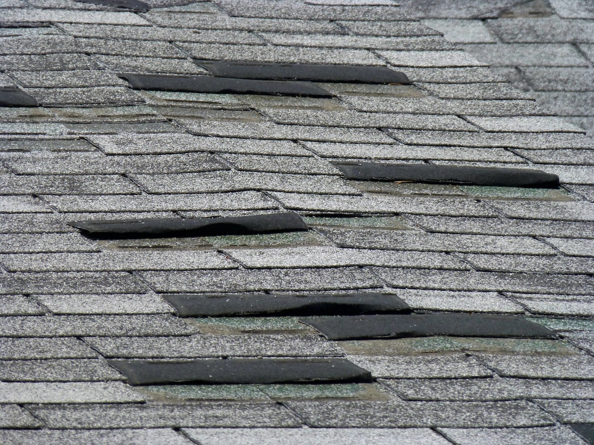 Close-up of a cypress roof with gray asphalt shingles showing signs of wind damage. Some shingles are curled, lifting, or missing, indicating possible weather damage or wear over time. The overall condition suggests the need for repair or replacement.