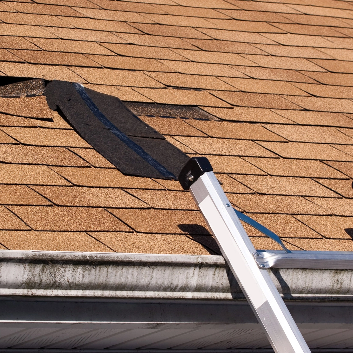 A house roof with damaged and missing shingles is shown. A leaning aluminum ladder rests against the roof near the damaged area, positioned beside a white gutter. The shingles are brown with visible wear, and the damaged spot exposes the underlying layer. This scene could benefit from a Pearland roof inspection.