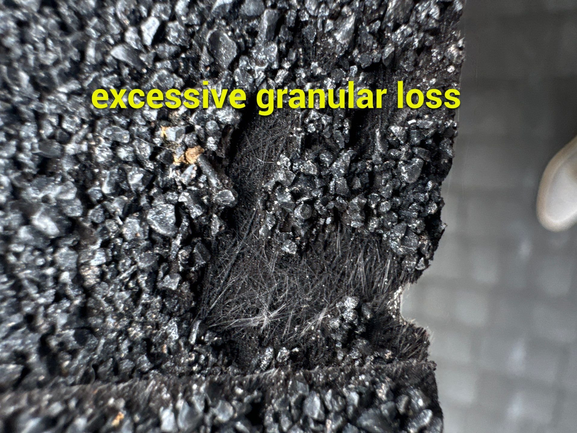 Close-up image of a roof shingle showing granular loss with text overlay: "excessive granular loss" in yellow. The surface appears rough and uneven, with missing granules exposing the underlying material.