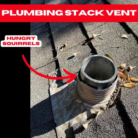 Damaged plumbing stack vent in Houston caused by squirrels chewing through the material, exposing the roof to potential leaks.

